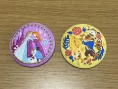 アナと雪の女王 刺繍ピンバッジ 2点セット