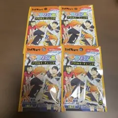 ハイキュー!! アクリルキーチェーン2 4個セット