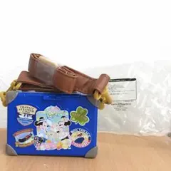 ディズニーシー ミニポップコーンバケット ダッフィーサイズ