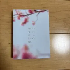 わたしの幸せな結婚 豪華版 DVD パンフレット クリアファイル付