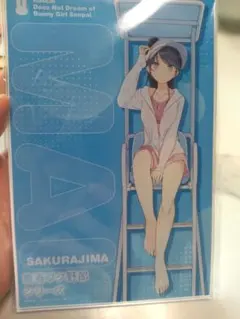 青春ブタ野郎はビーチクイーンの夢を見ない＋ 有償特典 アクリル