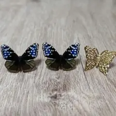 ツマムラサキマダラ 蝶デザインピアス、イヤーカフセット ゴールド プラバン