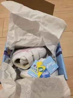 Item thumbnail for item ba39a6f4-c356-48ee-850c-083c69284d3f