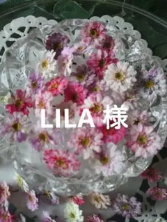 LILA様　専用ページ