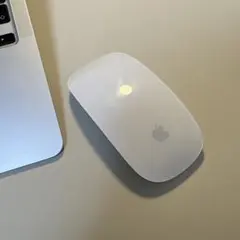 【動作確認済み】Apple Magic Mouse 本体 電池式