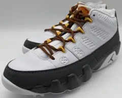 Item thumbnail for item 736f06ba-0cd2-4763-8602-0341ae995125