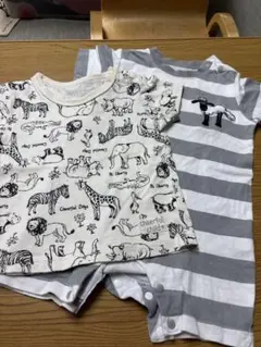 ベビー ロンパース Tシャツ2点セット 動物柄 ボーダーのサムネイル