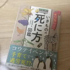 まさコタ様 リクエスト 2点 まとめ商品