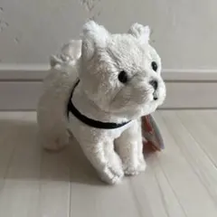 忠犬ハチ公 国立科学博物館／ぬいぐるみ - メルカリ