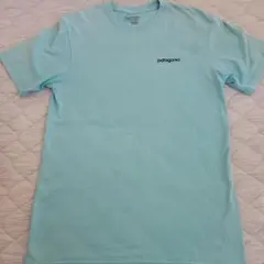 patagoniaTシャツメンズ