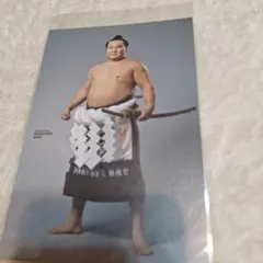 2026年最新】白鵬の人気アイテム - メルカリ