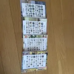 印象派アート ネイルシール 4シートセット