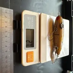 2026年最新】ニンナ ルアーの人気アイテム - メルカリ