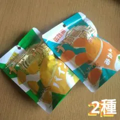 【缶詰風 ナカミグミ】パイン味みかん味/2袋まとめ売り/ぐみ
