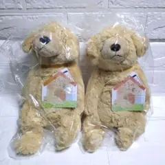 【2個セット】シナダ ぬいぐるみ うちのハル君です ゴールデンレトリバー