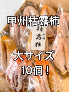 2026年最新】甲州百目柿の人気アイテム - メルカリ