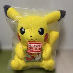 送料込】1番くじ ポケモン 30周年 ラストワン賞 ぬいぐるみ - メルカリ