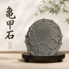 希少 天然亀裂石 亀の置物｜自然模様 観賞石 コレクションオブジェ 飾り 鉱物 希少 天然亀裂石 置物｜自然模様 観賞石 コレクションオブジェ 飾り