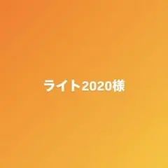 ライト2020様 リクエスト 2点 まとめ商品