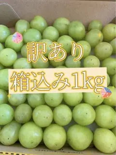 フルーツさん専用 2884d7c5446b9846c5df3cf2e9d1b4