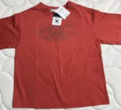 【新品タグ付】　INDIVI インディヴィ 綺麗なお色味の半袖カットソーTシャツのサムネイル