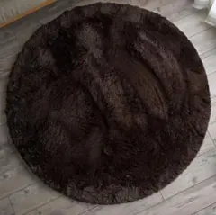 サヤンサヤン 洗える シャギー ラグ マット エクセレントムーティー 140円形