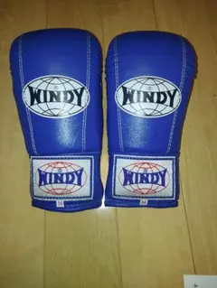 2025年最新】WinDy ボクシンググローブの人気アイテム - メルカリ
