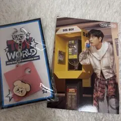 スキズ　トイワールド　FCくじ　スンミン　パピーム straykids