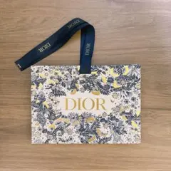 DIOR ディオール　ショッパー　美品