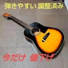 2025年最新】Epiphone アコースティックギターの人気アイテム