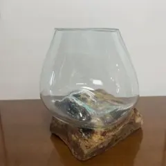 【流木✖️ガラス】天然木　アクアリウム テラリウム フラワーベース②
