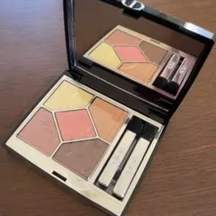 Dior サンククルール 限定版 333コーラルフレーム　新品