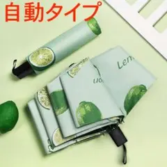 Item thumbnail for item a470c543-b37e-4dfa-928a-6d798ee96af0