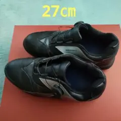 Item thumbnail for item 8db975e2-a976-485a-b3c6-a20b26931756