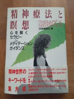 精神療法と瞑想　宝島編集部編