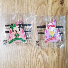 ディズニーランド☆2017 クリスマス ピンバッジ