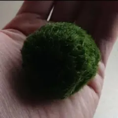 あきちゃん様 リクエスト 3点 まとめ商品