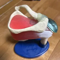 dodo様 リクエスト 2点 まとめ商品