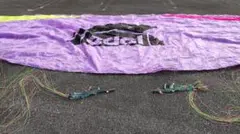 Item thumbnail for item 8fde6343-dc33-4a8c-9206-7d39b72a744f