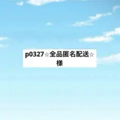 アメステ p0327⭐︎全品匿名配送⭐︎様