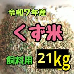 令和7年産　くず米21㎏　農家直送　残りわずかのサムネイル