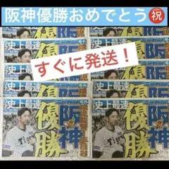 阪神タイガース優勝号外ニッカン新聞10枚