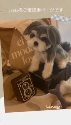 ஐ‬羊毛フェルト ੯•`໒ponta様オーダーページです