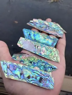 アワビ貝　ニュージーランド産　6枚　螺鈿細工　ハンドメイド　アクセサリー素材