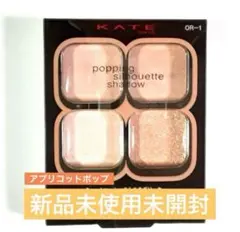 ケイト KATE ポッピングシルエットシャドウ OR-1 アプリコットポップ