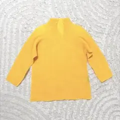2026年最新】PLEATS PLEASE ネック：Vネック レディース 五分袖・七分