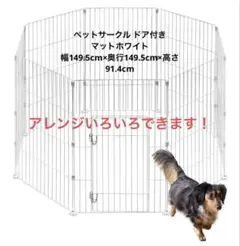 Item thumbnail for item aa268dd7-e499-4510-8cae-fc11e73a8892