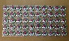 【カラフルピーチ】パラぴち2025缶バッジじゃぱぱ50点セット