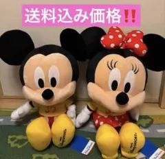 東京ディズニーリゾート 30周年 ミッキー ミニー ぬいぐるみ