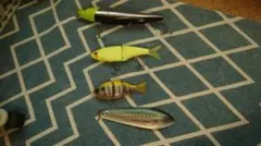 Item thumbnail for item 8f7e83bd-9ddb-4384-8888-c8e25fd126f6